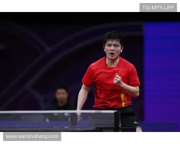 樊振东：从青涩少年到世界乒坛霸主的成长之路与辉煌成就