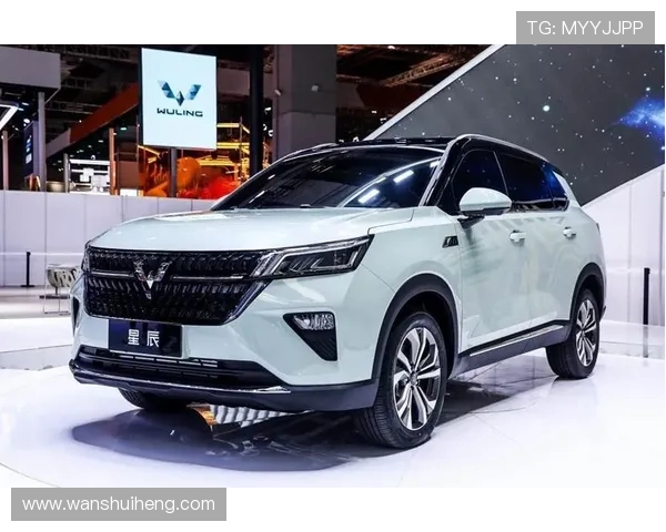 跳水运动的魅力与挑战：探索技术进步与运动员心理素质的完美结合