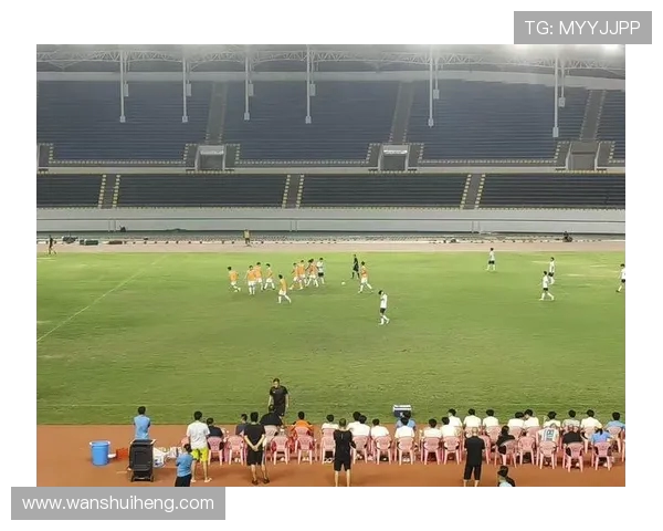 围绕湘超足球发展推动湖南本土竞技与青训全面提升之路径策略探讨