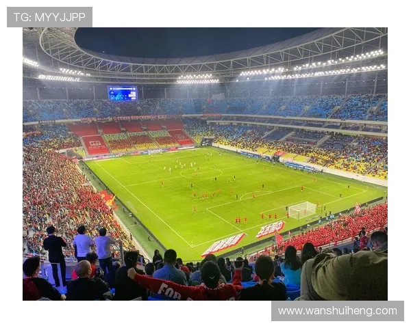 足球的魅力与发展：从草根到职业，全球足坛的变化与挑战