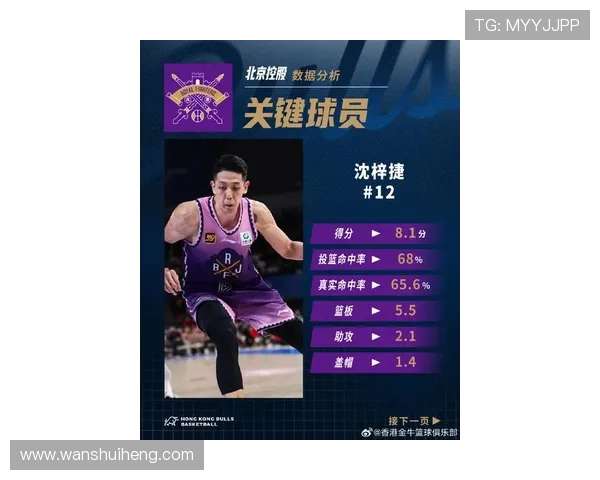 北京篮球队状态火热领跑最新篮球TOP10榜单分析与展望