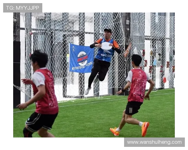 北京飞盘队比赛经验深度对比分析及其对战术发展的影响