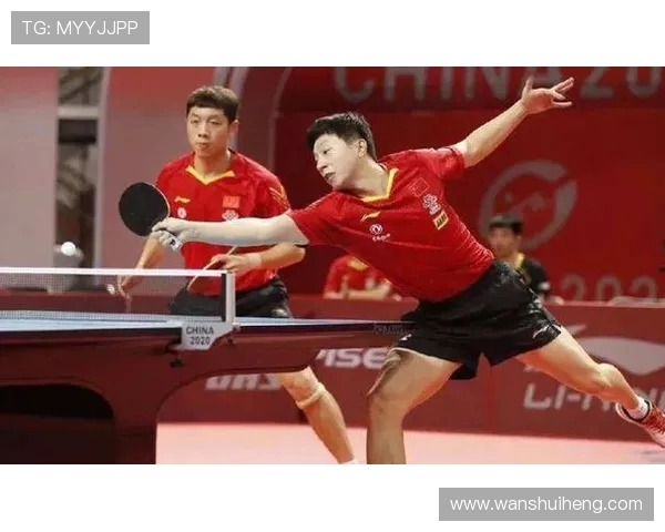 杭州乒乓球队的节奏揭秘与深度分析探讨乒乓球的魅力与技术之道