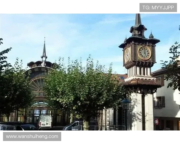 年轻人如何应对洛桑推迟带来的挑战与机遇